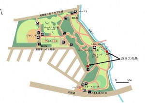 カラスの巣　位置図